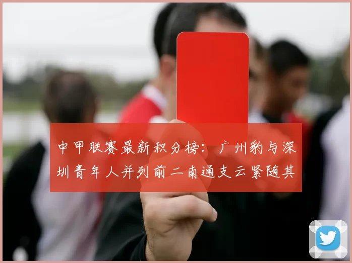 中甲联赛最新积分榜：广州豹与深圳青年人并列前二南通支云紧随其后